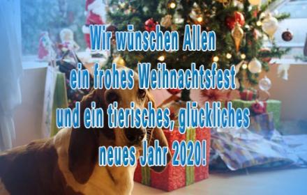 und ein herzliches Dankeschön an alle Unterstützer